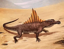 DuneLizard-SOC