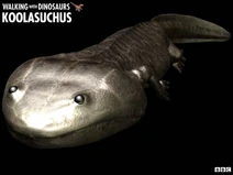 Wwd koolasuchus
