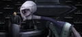 Burtoni Organa.jpg