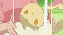 EP673 Huevo de Ash