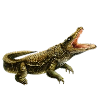Huge item coccodrillo 01.png