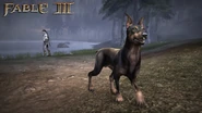 F3 DLC Doberman