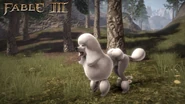 F3 DLC Poodle