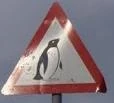 Penguin sign.jpg