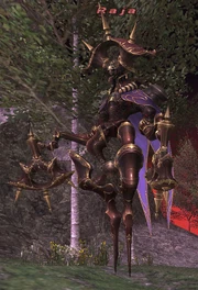 Raja.png