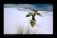 Hunter Seeker 01