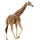 Item giraffe 01