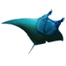 Item pacificmanta 01.png