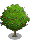Asian Pear Tree5-icon
