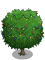 Lychee5-icon