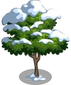Lime7-icon