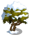 Olive7-icon
