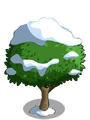 Wax Apple7-icon