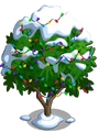 Golden Apricot9-icon