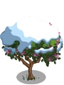 Mountain Ebony7-icon
