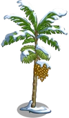 Peach Palm Tree8-icon