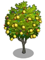 Ponderosa Lemon6-icon