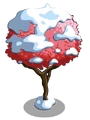Rainier Cherry7-icon