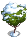 Ruby Guava7-icon