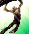 Chewbacca 004.jpg
