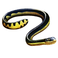 Huge item yellowseasnake 01.png