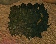 Hiding bush.jpg