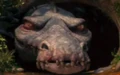 Rudy out of cave.jpg