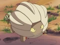 EP319 Shelgon (2).jpg