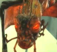 WyvernFace.jpeg