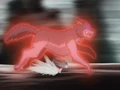MFB Wolf
