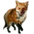 Item redfox 01