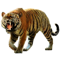 Huge item bengaltiger 01.png