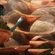 Loreyu2