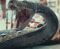 Nagini.jpg