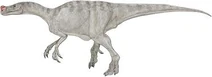Proceratosaurus