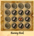 Burning-book.jpg