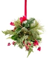 Mistletoe.jpg