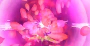 Demonic Illusion Flower Head Death 2