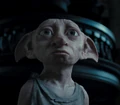 Dobby HP7.jpg