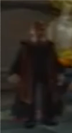 Gryffindorprefect