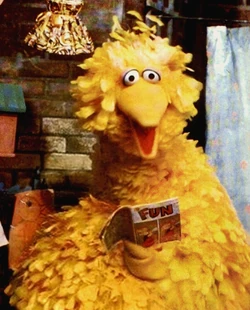 Bigbird70s