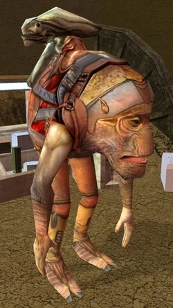 Paaerduag.jpg