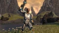 Zabrak3