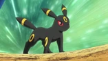 EP620 Umbreon Gary