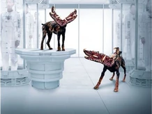 Afterlife-zombie-dogs