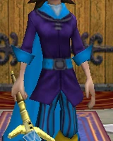 Robe WC Armored Tunic Female