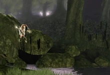 Gnomes are Evil!