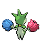 Roselia espalda G5 hembra