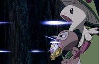 P13 Pokémon del bosque usando recurrente