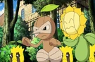 P13 Sunkern, Nuzleaf y Sunflora